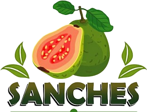 Distribuidora Sanches